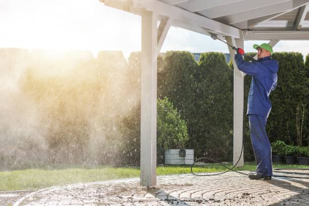 Best Solar Panel Cleaning  in Fox Lake, IL